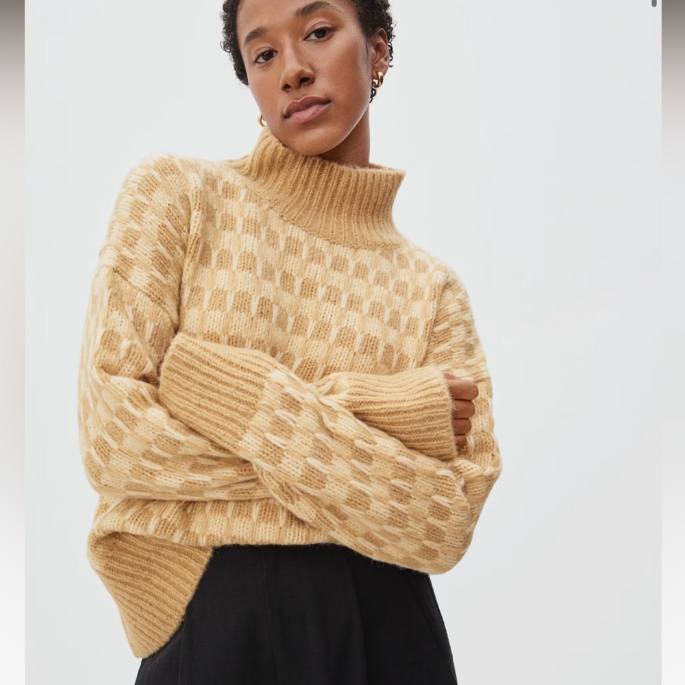 Everlane The Cloud Checkered Turtleneck